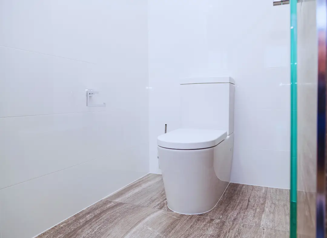 Remplacement de wc Pins-Justaret