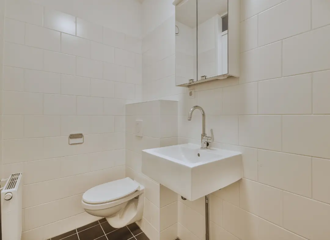 Pose WC Suspendu Pins-Justaret